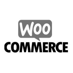 Woocommerce WordPress Plugin Webdesign